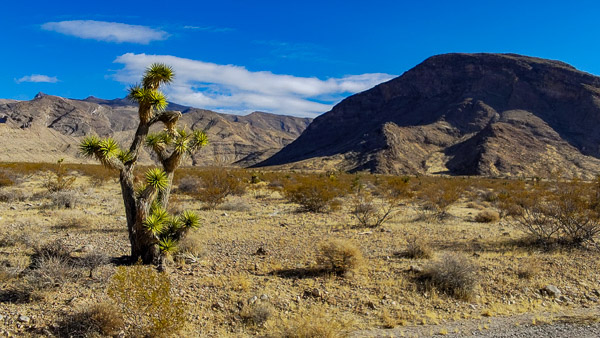 Drive to Little Finland